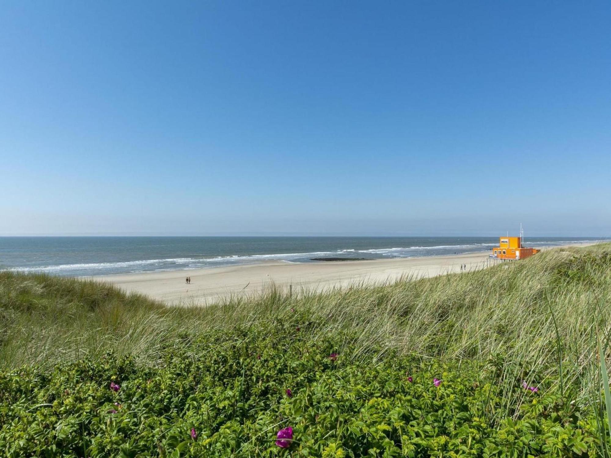 Alluring Seaside Holiday Home Callantsoog Eksteriør bilde